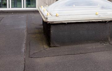 disadvantages of Normanby flat roofs