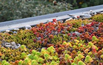 the cost of Normanby green roof installation
