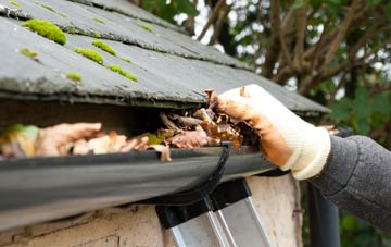 gutter cleaning Normanby