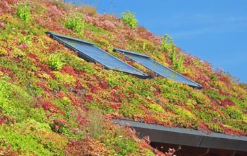 Normanby living roof systems