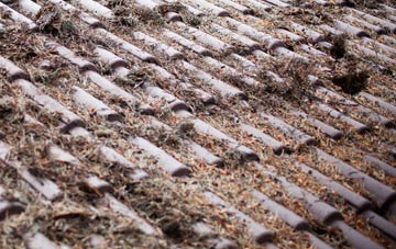 Normanby roof cleaning companies