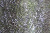 Normanby fibreglass roof work